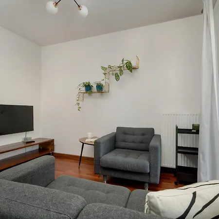 Black And Brown With Free Parking And Furnished Balcony In By Renters Appartement